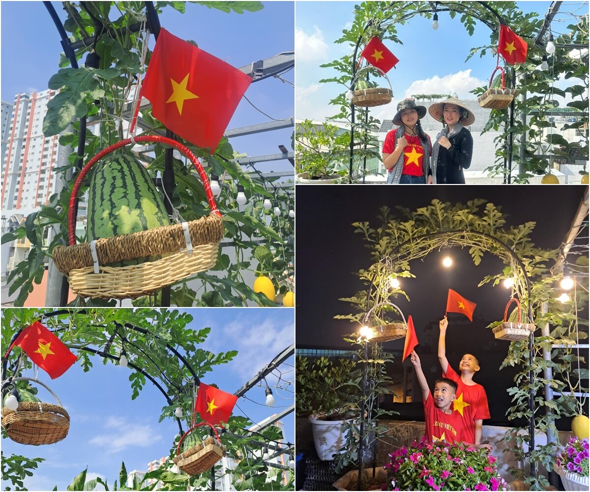 Vườn rau sạch hữu cơ