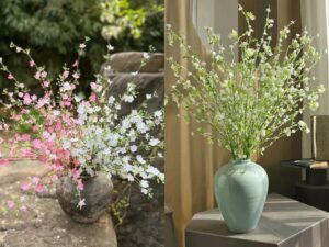 Cách trồng và chăm sóc hoa tuyết hồng