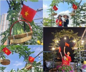Vườn rau sạch hữu cơ