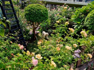 Công Cuộc Trồng Cây Tỉ Mỉ